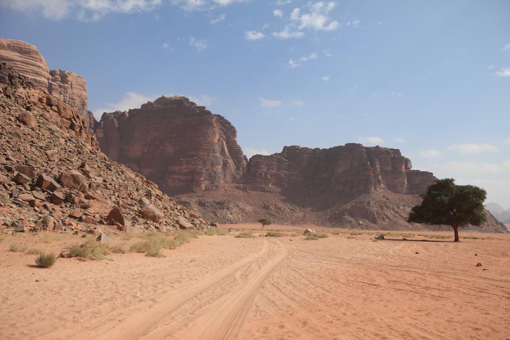 Bedouin Expedition 와디럼 외부 사진