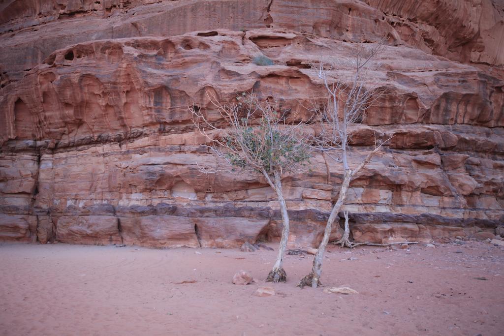 Bedouin Expedition 와디럼 외부 사진