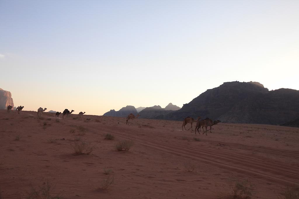 Bedouin Expedition 와디럼 외부 사진