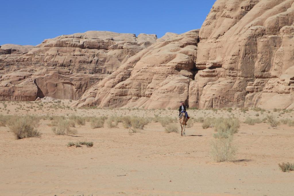 Bedouin Expedition 와디럼 외부 사진