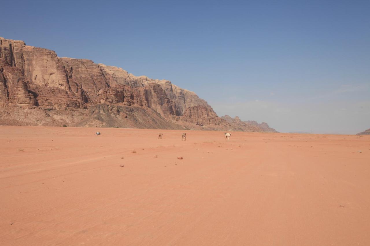 Bedouin Expedition 와디럼 외부 사진